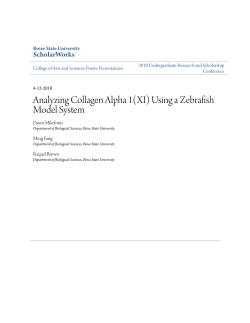 Analyzing Collagen Alpha 1(XI) Using a