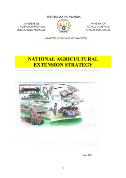 National Agricultural Extension Strategy