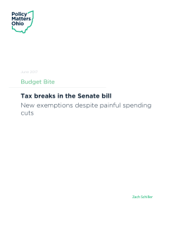 Tax breaks in the Senate bill New exemptions despite painful