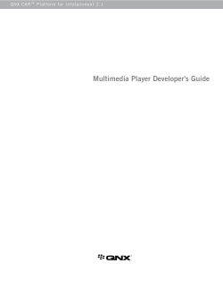 Multimedia Player Developer`s Guide