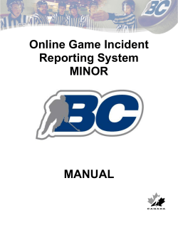 Online Game Incident Reporting System Manual