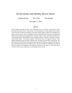 Social norms and identity driven choice