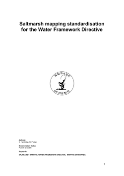 Saltmarsh mapping standard