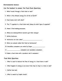 Food Chains and Webs