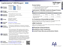 Lipofectamine&reg; 2000 Reagent