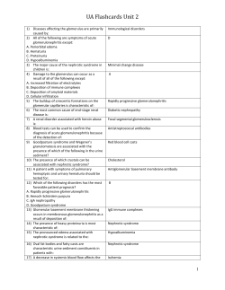 Cell Quiz Review