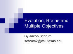 Evolution, Brains and Multiple Objectives