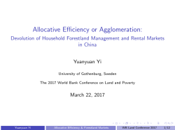 Allocative Efficiency or Agglomeration