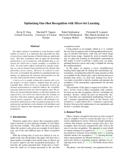 Optimizing One-Shot Recognition with Micro-Set Learning