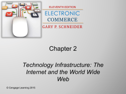 Technology Infrastructure: The Internet and the World Wide Web