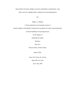 THE ETHICS OF PAIN: MORAL STATUS