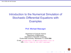 Introduction to the Numerical Simulation of