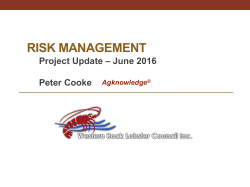 Risk Management and ISO 31000 - Western Rock Lobster Council