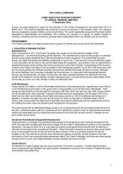 CEO: 8th Annual report 2012