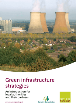 Green infrastructure strategies