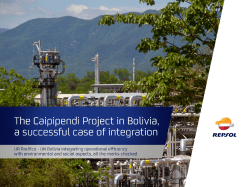 4. Project Execution and Third-party Valuation Pipelines