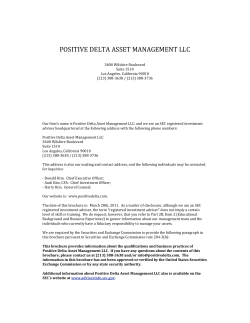 positive delta asset management llc