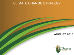 climate change strategy - Durban Adaptation Charter