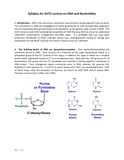 Syllabus for GUTS Lecture on DNA and Nucleotides