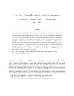 Uncertainty, Capital Investment, and Risk Management