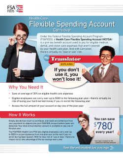 HCFSA Flyer