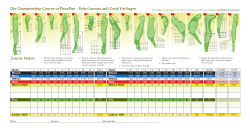 The Championship Course at BraeBen &ndash; Hole Layouts and Total