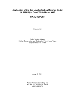 slamm 4 - Warren Pinnacle Consulting, Inc.