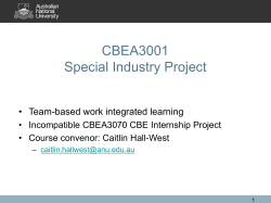 CBE Special Industry Project, Global Business Immersion and Peer