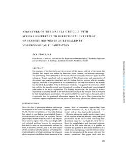 structure of the macula utriculi with special reference to directional