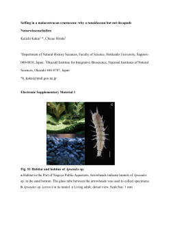 Supplementary information