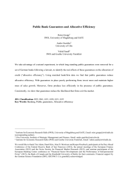 Public Bank Guarantees and Allocative Efficiency