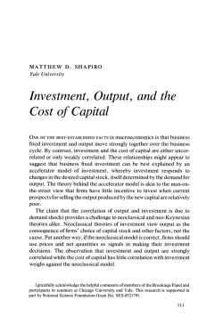 Investment, Output, and the Cost of Capital