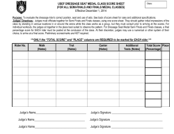 ahsa dressage seat equitation medal class score sheet