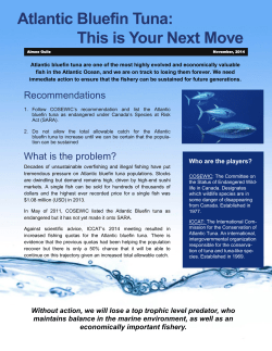 Atlantic Bluefin Tuna: This is Your Next Move