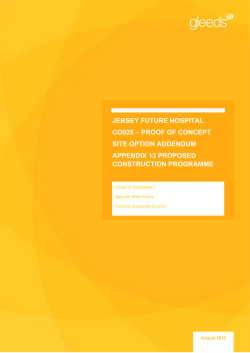 Appendix 13 &ndash; Proposed programme - Building a better hospital for