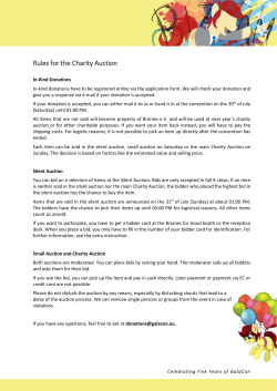Rules for the Charity Auction