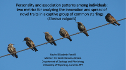 Personality and association patterns among individuals