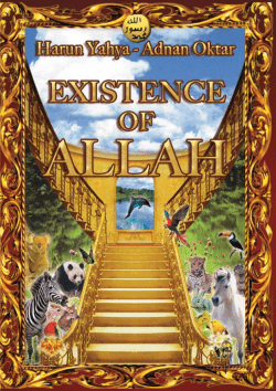 EXISTENCE OF ALLAH