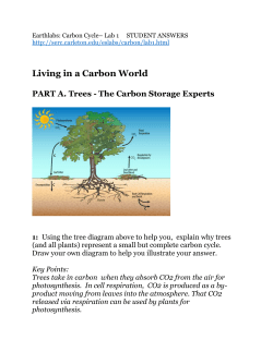 Key Points - cloudfront.net