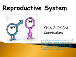 2.4 Reproductive, Kathy M._ccby