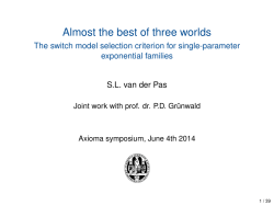 Almost the best of three worlds - The switch model selection criterion