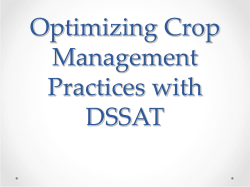 Optimizing Crop Management Practices with DSSAT