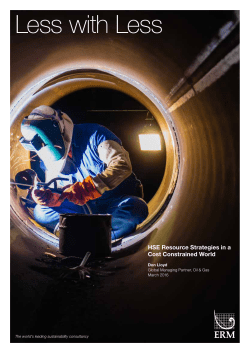 Less with Less - Environmental Resources Management (ERM)