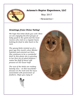 Arizona`s Raptor Experience, LLC May 2017 ~Newsletter~