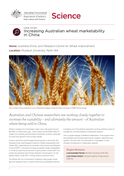 Increasing Australian wheat marketability in China