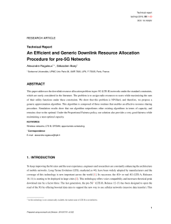 An Efficient and Generic Downlink Resource Allocation - NPA