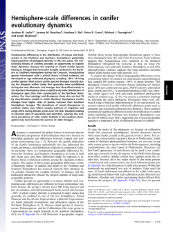 Hemisphere-scale differences in conifer evolutionary dynamics