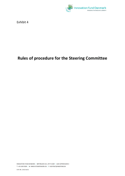 3 - The tasks of the Steering Committee