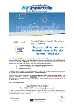 SME panel Consultazione rivolta al settore del TURISMO L`impatto