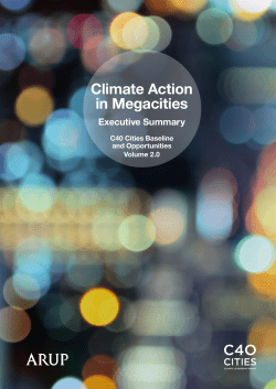 Climate Action in Megacities